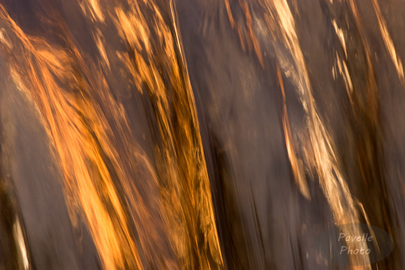 Spring Runoff