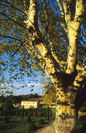 Chateau La Canorgue