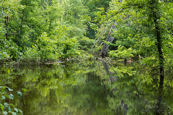 Minnehaha Creek Flooded
