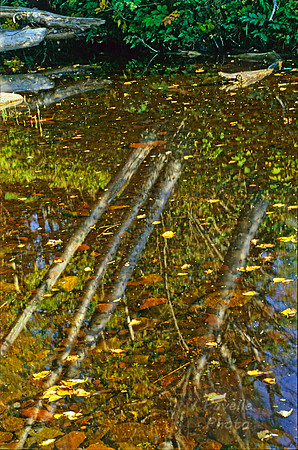 Northern Reflection