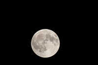 Lunar Eclipse