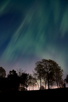 Northern Lights