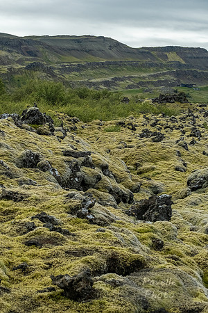 Lava Field