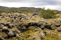 Lava Field