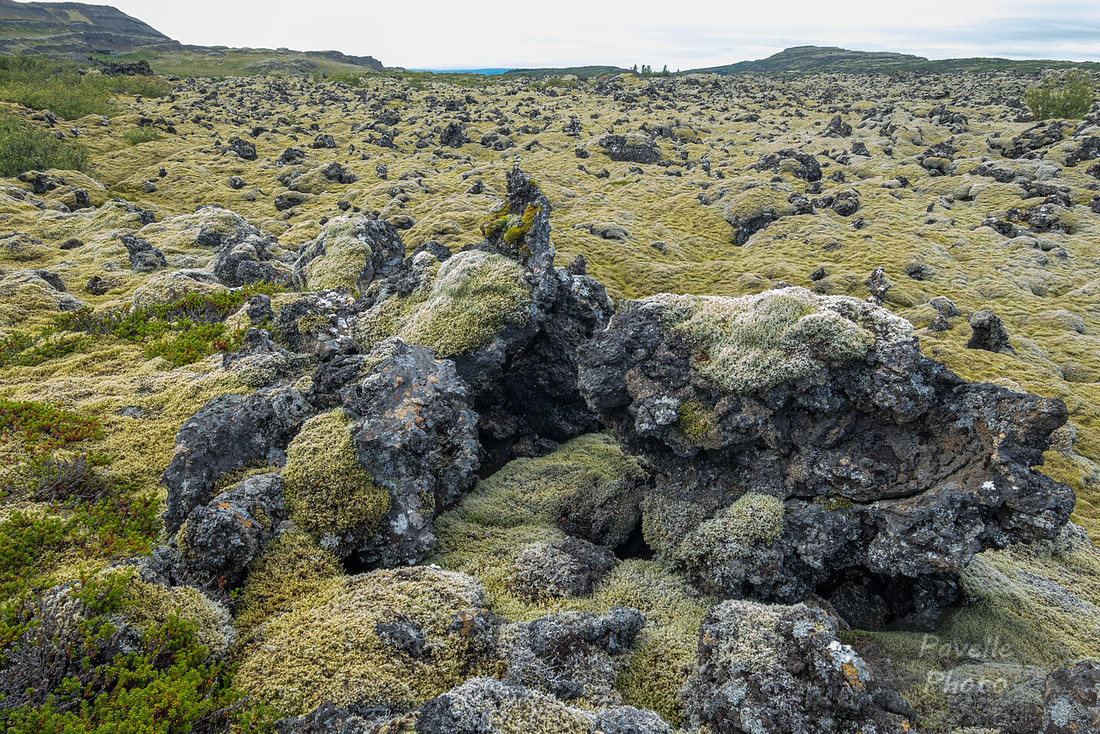 Lava Field