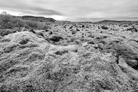 Lava Field
