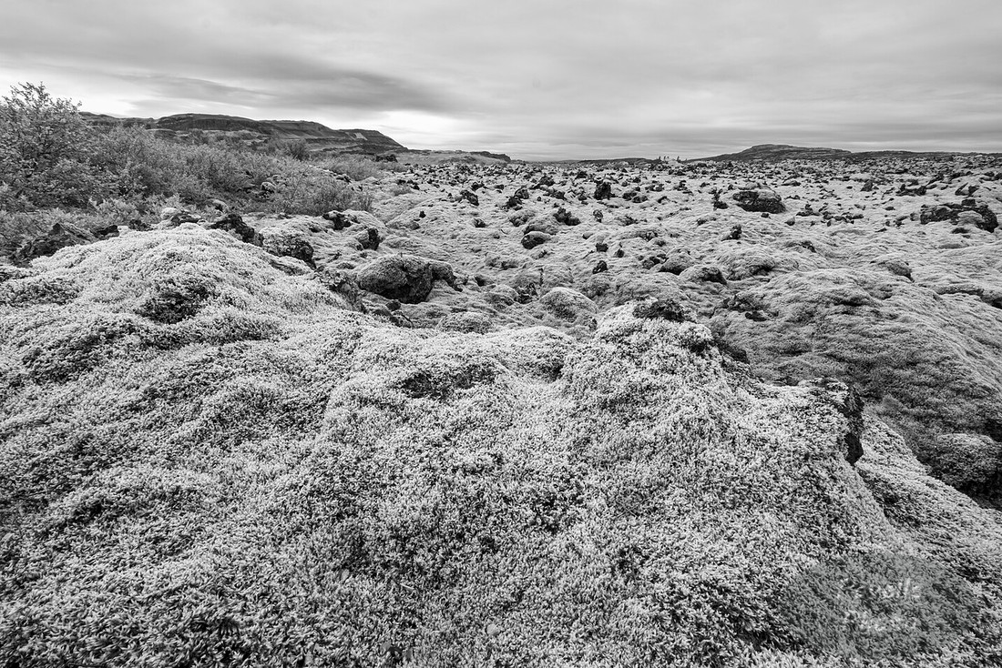 Lava Field