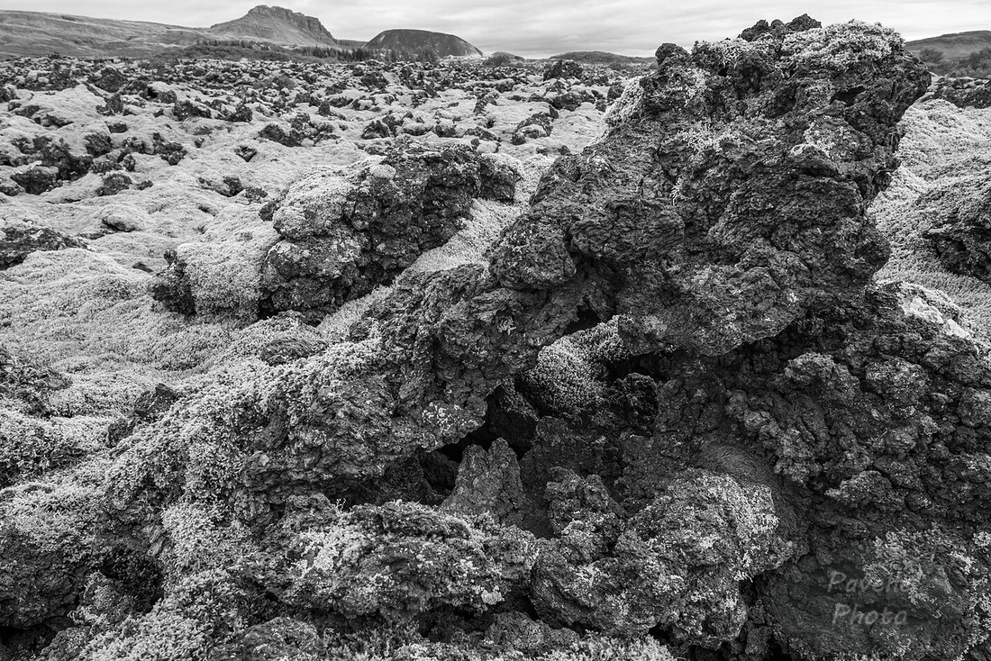 Lava Field