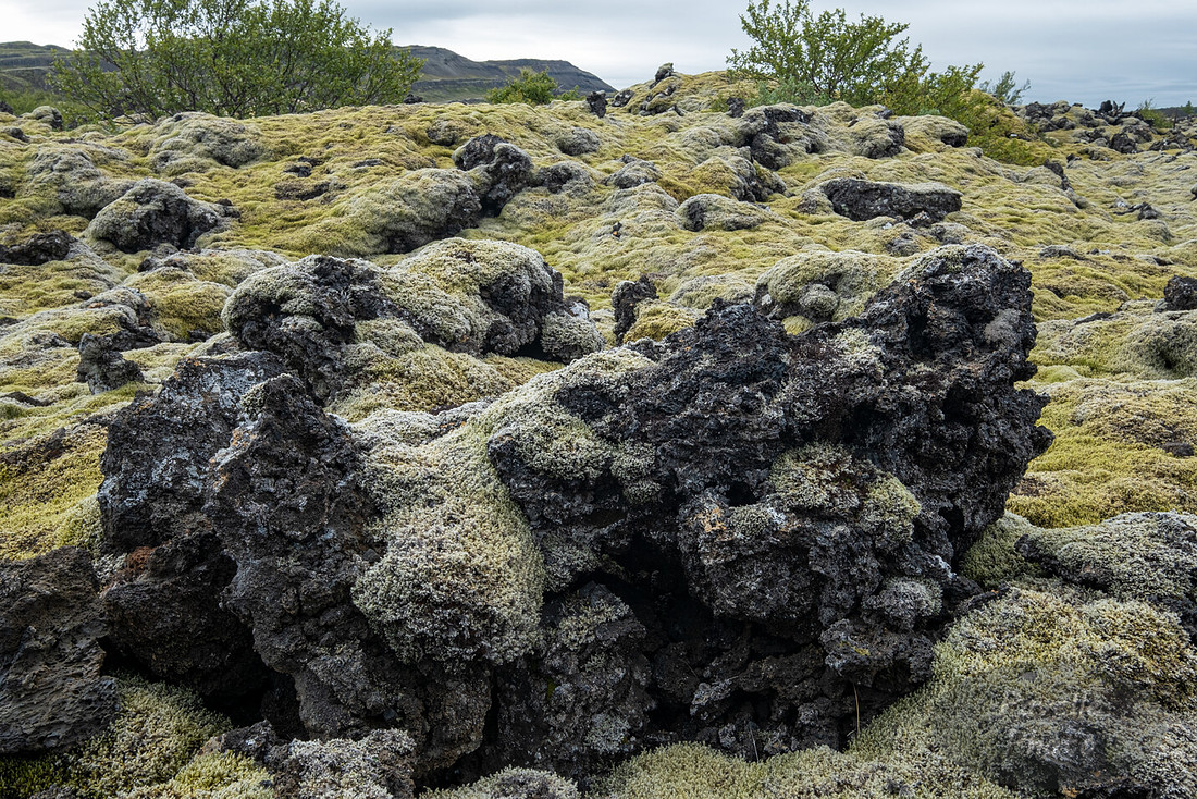 Lava Field