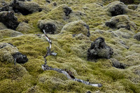 Lava Field