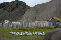 Vestrahorn - Old Farm