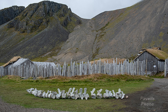 Vestrahorn - Old Farm