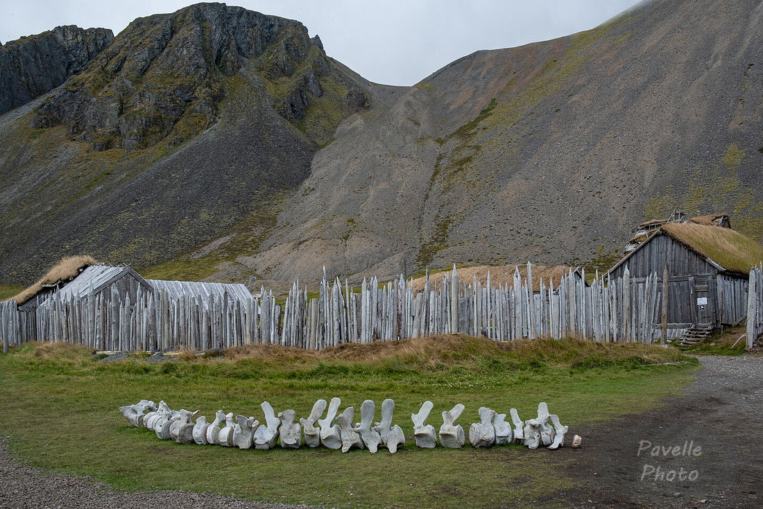 Vestrahorn - Old Farm