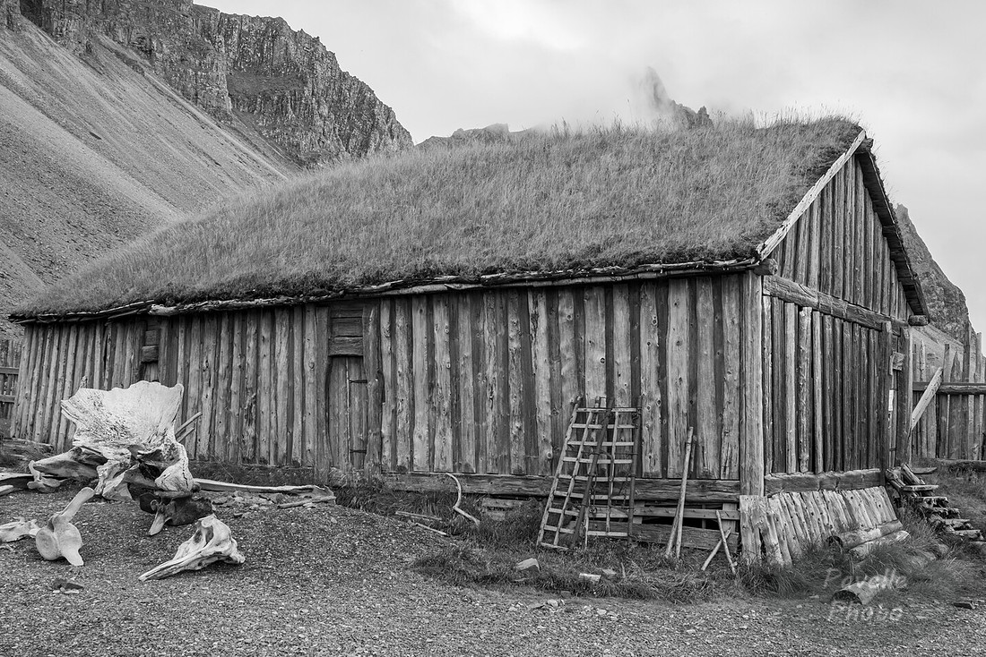 Vestrahorn - Old Farm