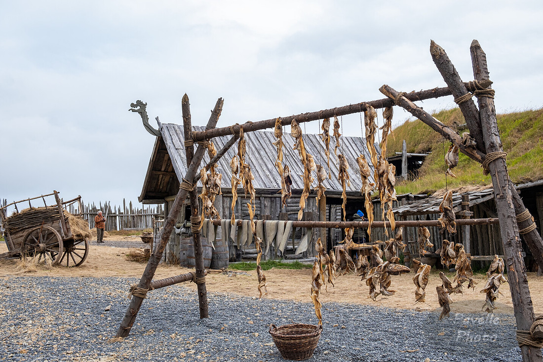 Vestrahorn - Old Farm