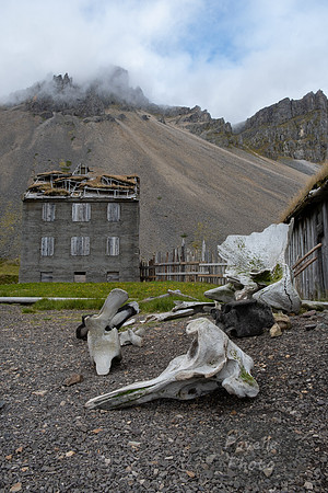 Vestrahorn - Old Farm