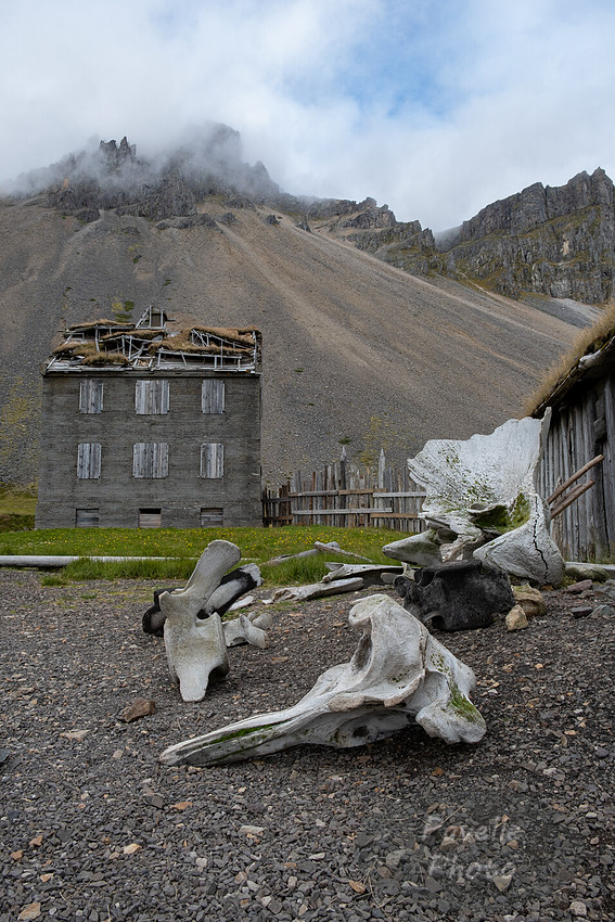 Vestrahorn - Old Farm