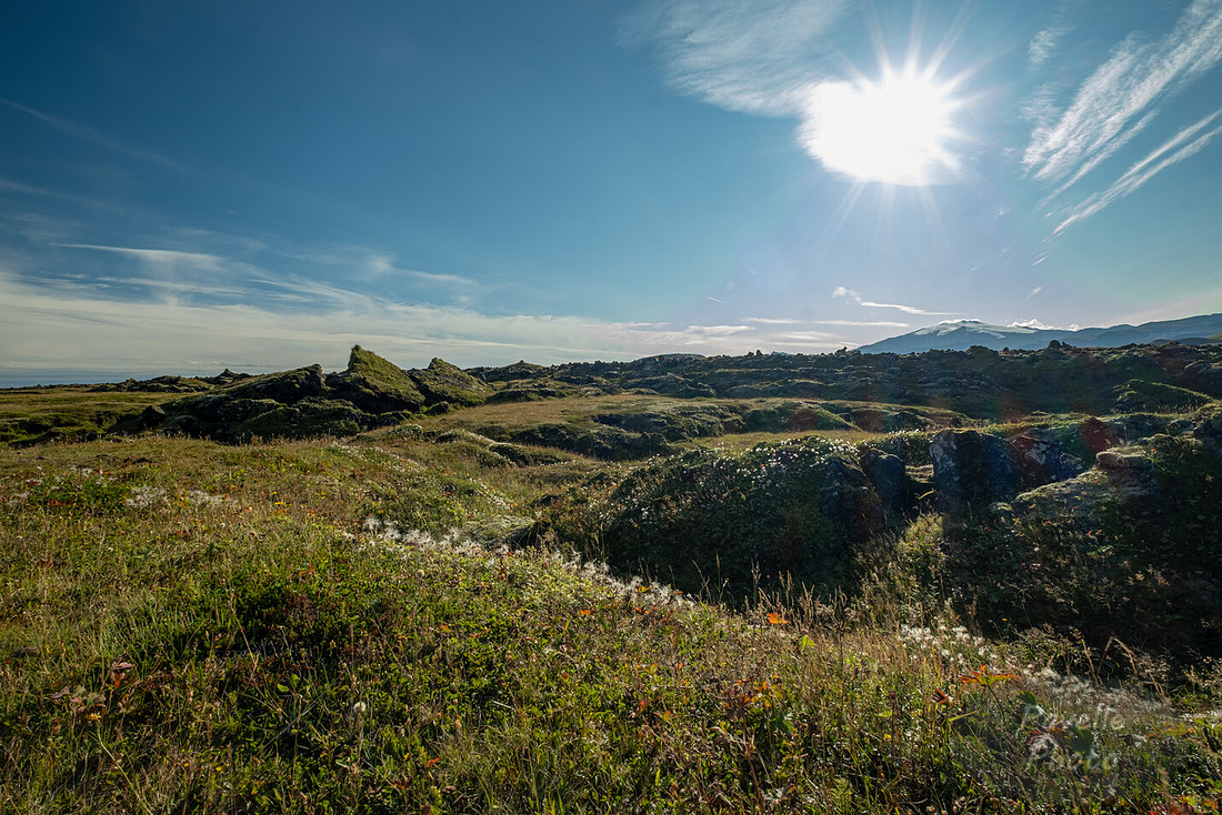 Búðahraun lava fields