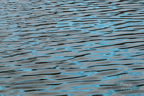 Wavelets