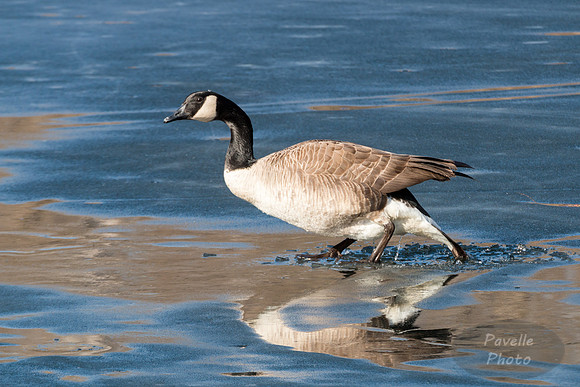 On Thin Ice