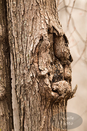 Sad Ent