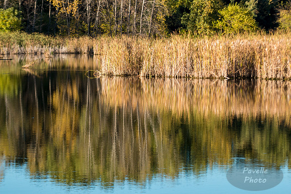 Lake Reflections