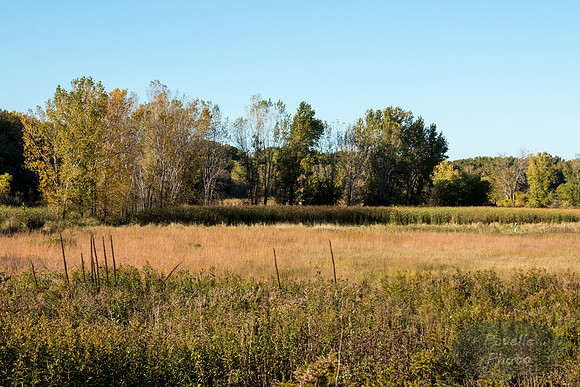 Wood Lake in Fall
