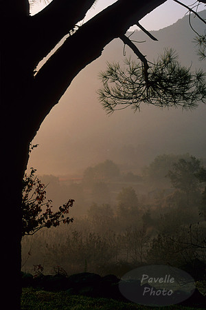 La Bastide Pine
