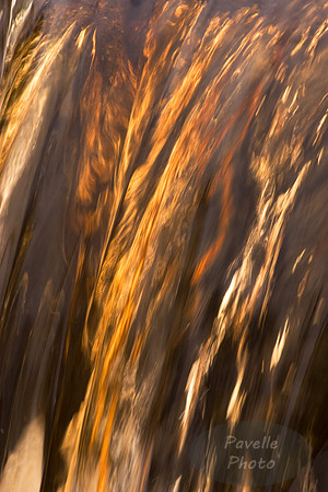 Spring Runoff
