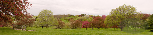 Highpoint Panorama
