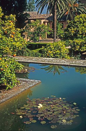 Alhambra water garden