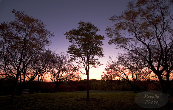 Sunrise Silhouette