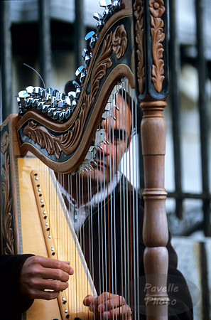 harpist