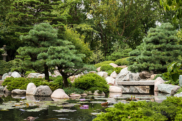 Japanese Garden at Como Park
