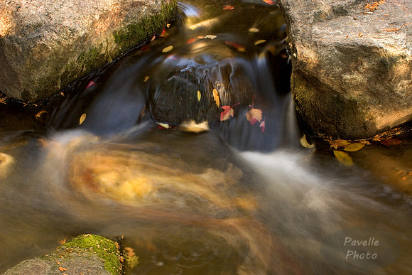 Eddy - Upper Falls