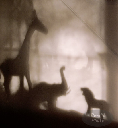 Shadowplay